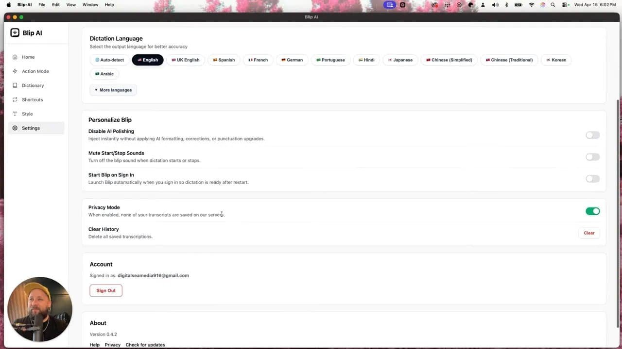 Blip AI settings showing Privacy Mode and transcription history controls