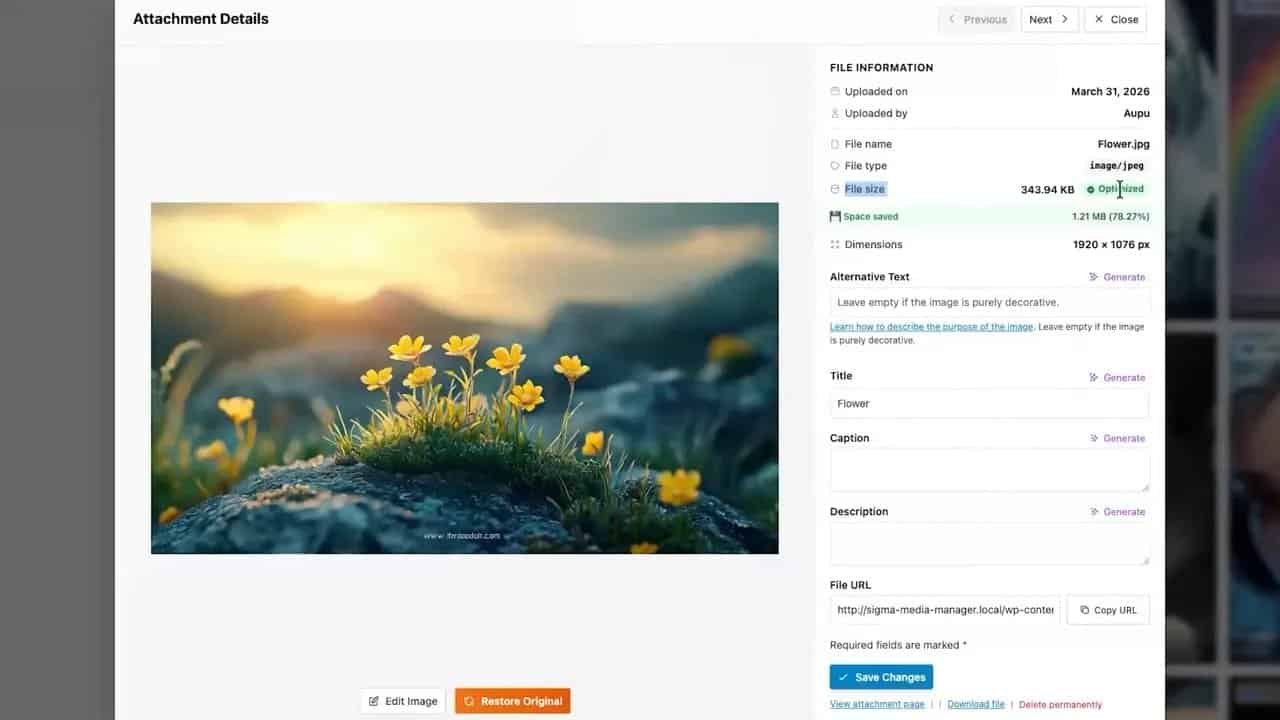 Sigma Media Manager attachment details panel after optimization showing reduced file size and space saved